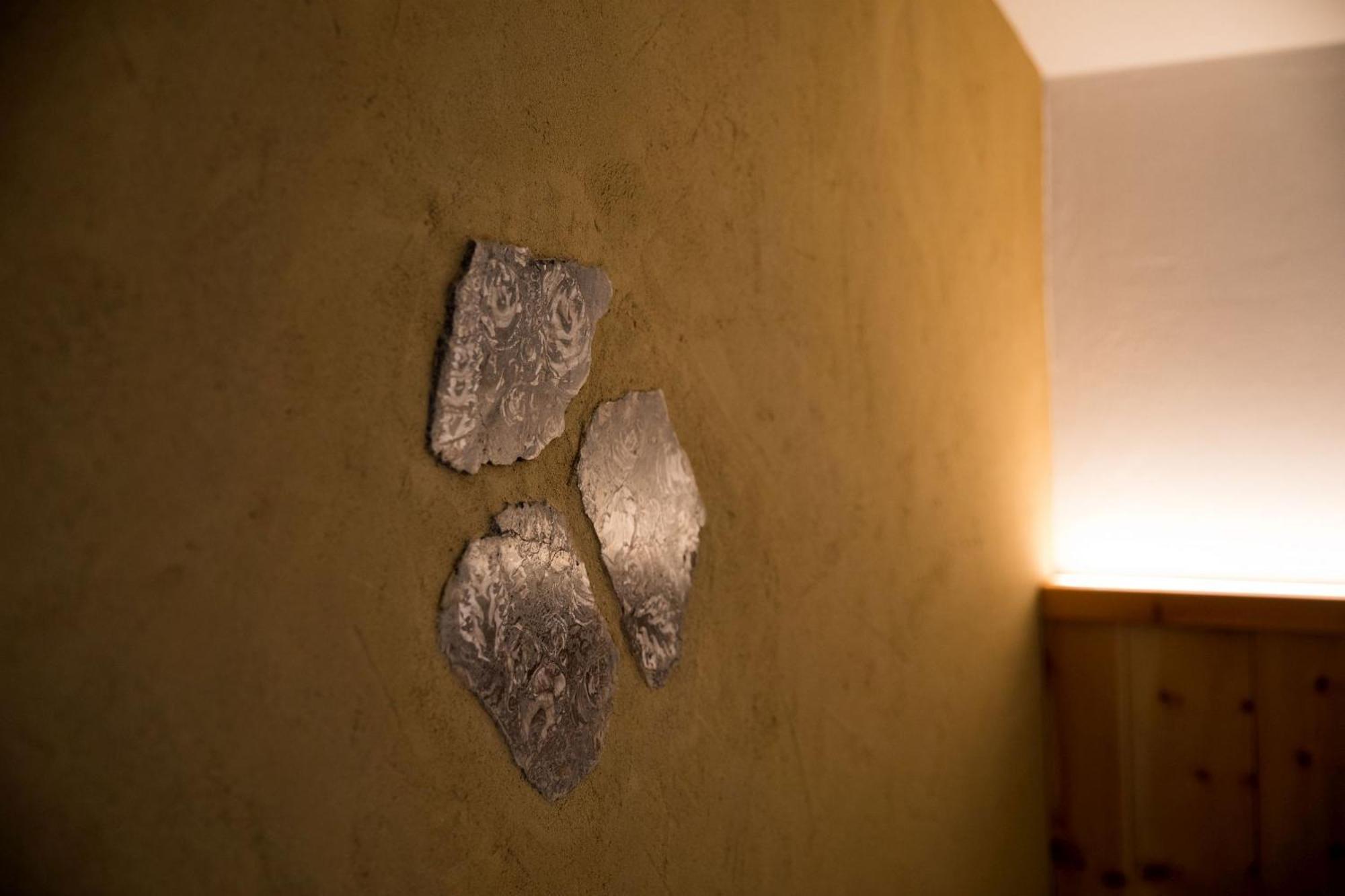 Schneckenhaus Dachstein West Apartment รุสบาค อัม พาสเกอชุตต์ ภายนอก รูปภาพ